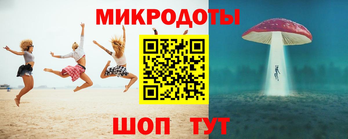 Псилоцибиновые грибы Psilocybe Дзержинский