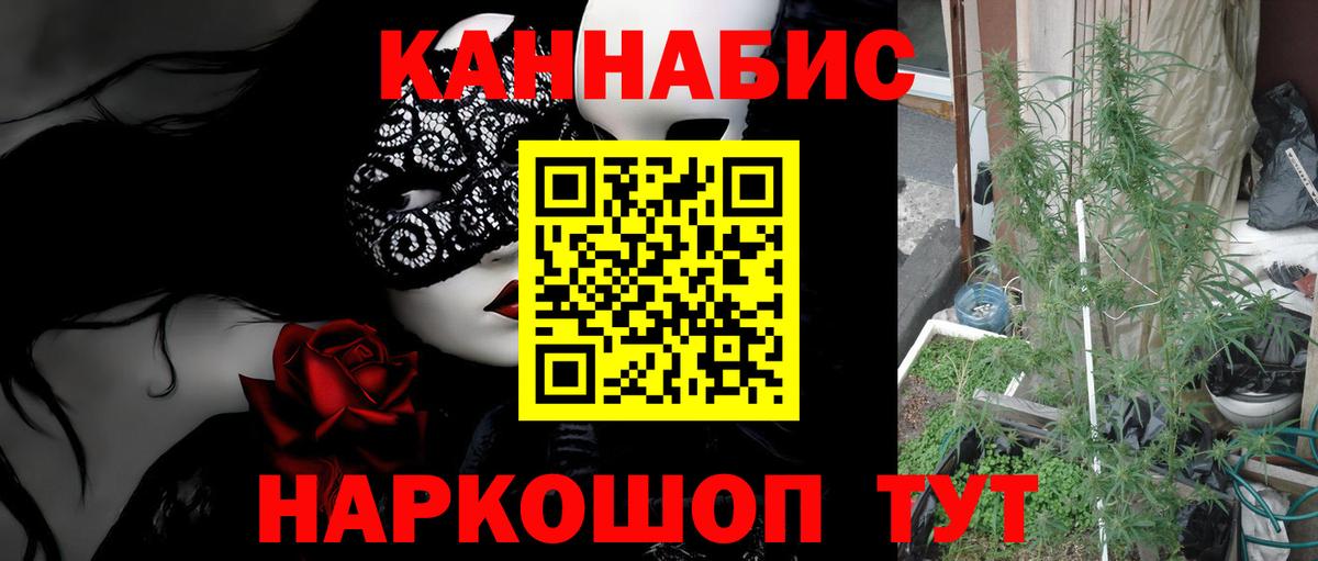 Бошки марихуана SATIVA & INDICA Дзержинский